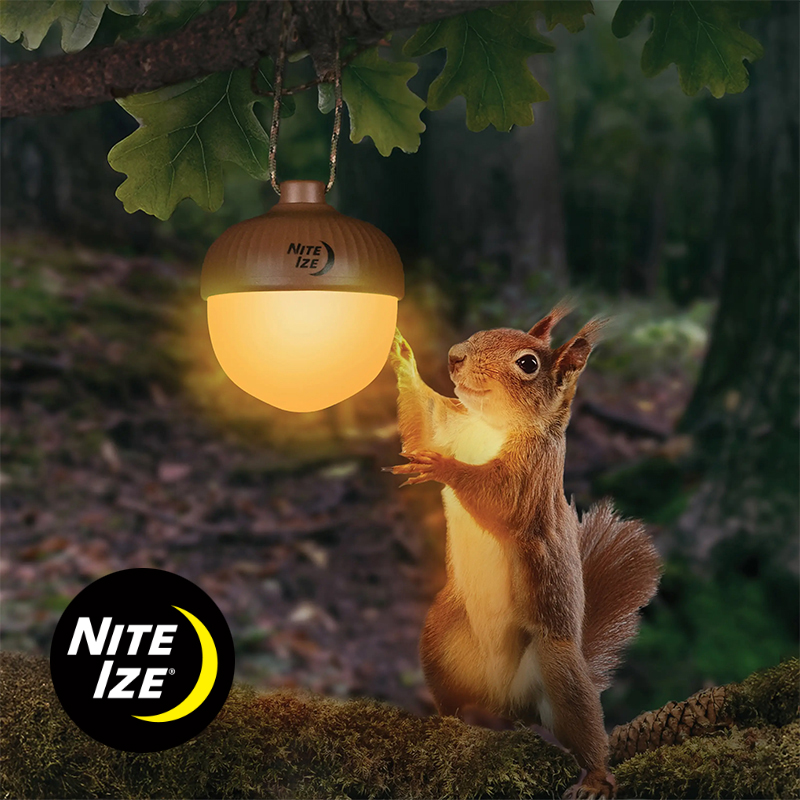 �Ӹ� ������ ����